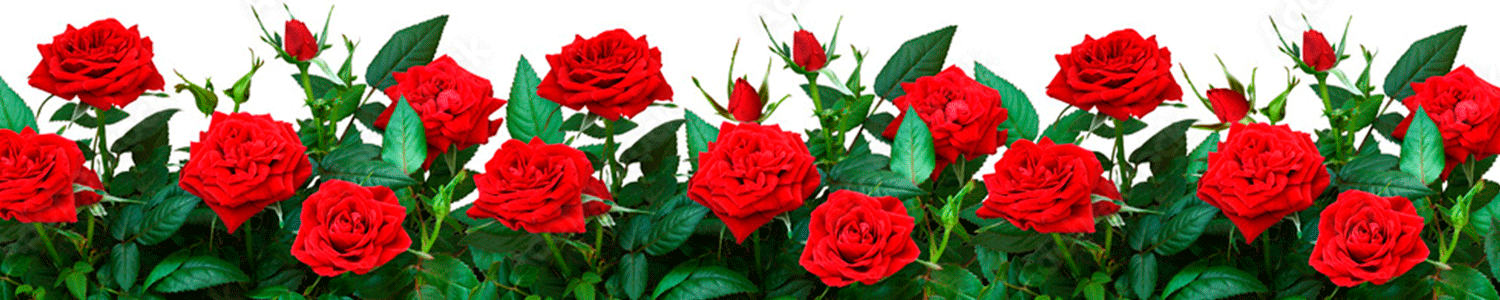 Розы в крафте с доставкой Розы в крафте с доставкой