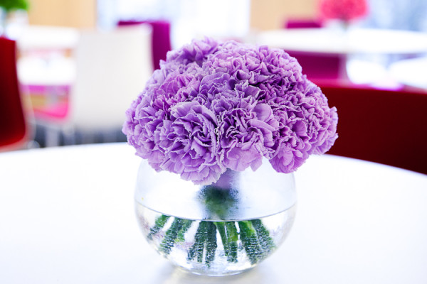 Гвоздики фиолетовые Гвоздики фиолетовые