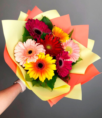 Букет из разноцветных гербер Букет из разноцветных гербер